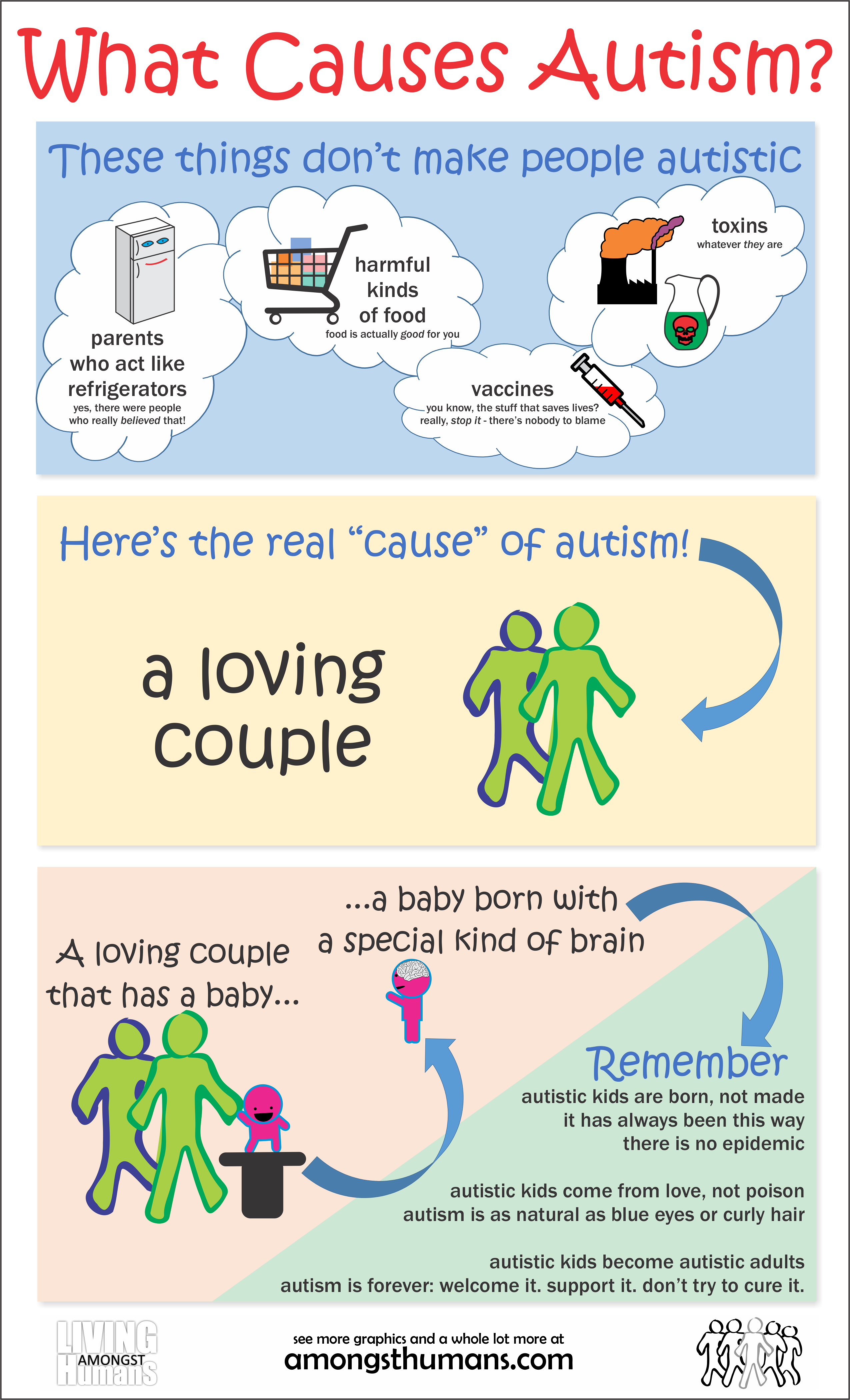 What Causes Autism - Infographic